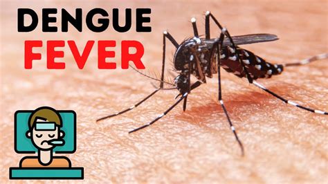 dengue last for how many days